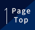 Page Top